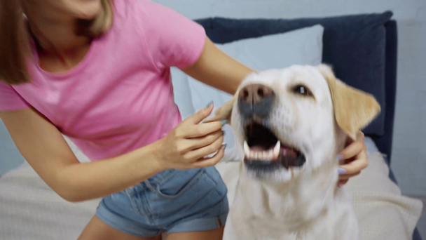 joyful woman sticking out tongue and cuddling golden retriever dog - 映像、動画