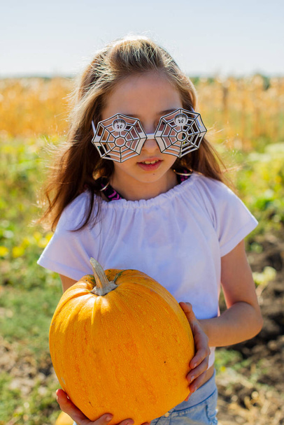 Teenager girl and pumpkin in the vegetable garden. A girl with a pumpkin in her hands wearing glasses for Halloween. Halloween, autumnal feast, autumn. Harvesting in autumn - Φωτογραφία, εικόνα