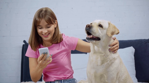 joyful woman taking selfie with golden retriever on smartphone  - Footage, Video