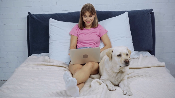 freelancer χρησιμοποιώντας φορητό υπολογιστή, ενώ βρίσκεται στο κρεβάτι με golden retriever - Πλάνα, βίντεο