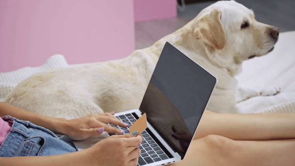 vista ritagliata della donna utilizzando il computer portatile e tenendo carta di credito vicino al cane sul letto - Filmati, video