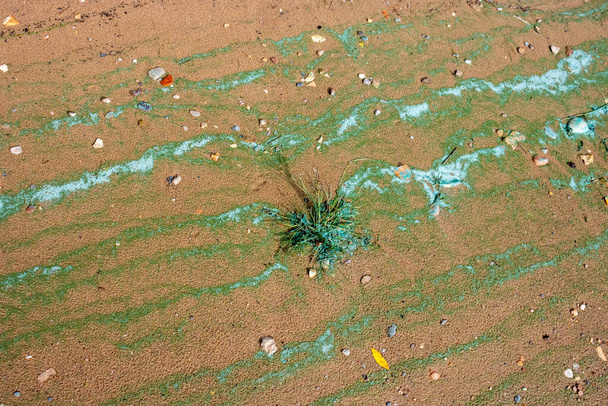 Zandtextuur.Achtergrond van nat rivierzand met turquoise strepen schuim.Het concept van het milieu. - Foto, afbeelding