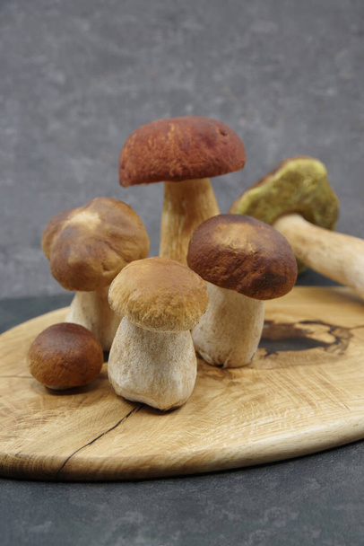 Boletus mushrooms on a wooden tray. Boletus edulis. Closeup - Photo, Image