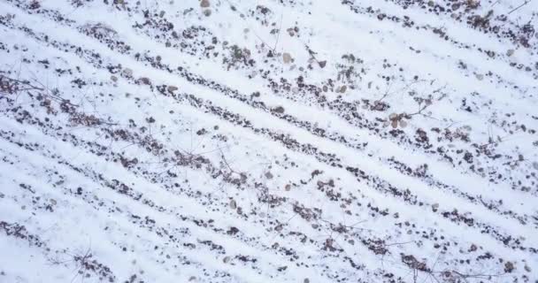 Widok z lotu ptaka na tereny rolnicze w Szwajcarii w okresie zimowym. - Materiał filmowy, wideo