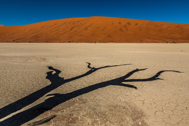 sossusvlei deadvlei Namibie - Fotografie, Obrázek