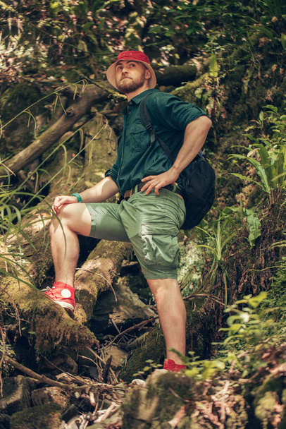 Hiker with backpack walking in mountain forest, climbing to the cliff - Foto, imagen