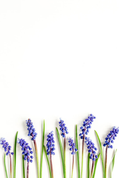 Blue flowers muscari. Minimal floral concept greeting card. Flat lay, top view. - Fotó, kép