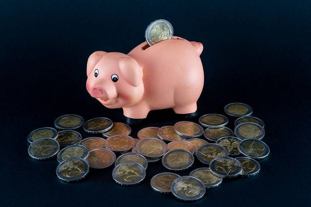 imagen de alcancía de cerámica con imagen de cerdo para guardar monedas - Foto, Imagen