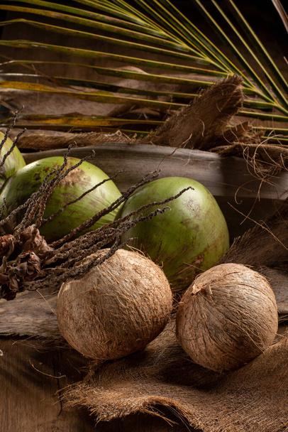 木の背景に緑と熟したココナッツと乾燥ココナッツの葉. - 写真・画像