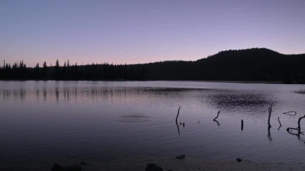 In den See geworfenes Gestein erzeugt Wellen. Bäuerliches Waldgebiet bei Sonnenuntergang zur blauen Stunde. - Filmmaterial, Video