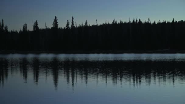 Les arbres silhouettés se reflètent dans le lac vitreux tôt le matin heure bleue. - Séquence, vidéo