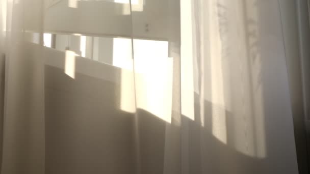 Ondeando tul blanco cerca de la ventana. rayos del sol brillan a través del tul transparente - Metraje, vídeo