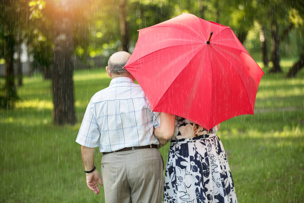Boldog idős pár esernyővel. Jóképű férfi és nő idős polgárok. Férj és feleség idős korban sétálni. - Fotó, kép