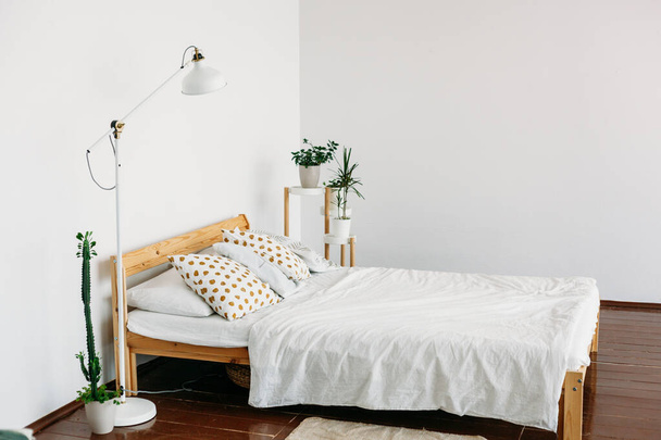 homhome interior, bed, pillows, blankets, indoor plants, light lamp, apartmente interior, bed, pillows, blankets, indoor plants, light lamp, apartment - Φωτογραφία, εικόνα