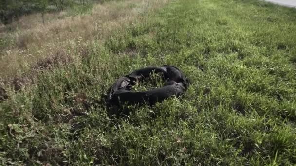 Velho pneu de carro abandonado na grama perto de uma estrada - Filmagem, Vídeo