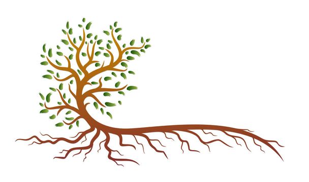 Un símbolo de un árbol verde estilizado con raíces. - Vector, Imagen