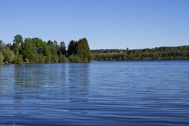 Lac de forêt bleue avec des bancs de forêt contre un ciel bleu sans nuages. - Photo, image
