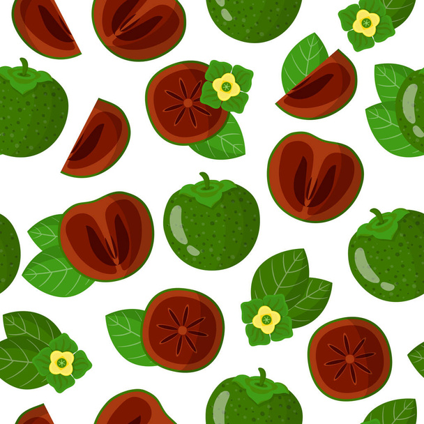 Vector cartoon seamless pattern with Diospyros-nigra or Black sapote exotic fruits, flowers and leafs on white background for web, print, cloth texture or wallpaper - Vector, Image