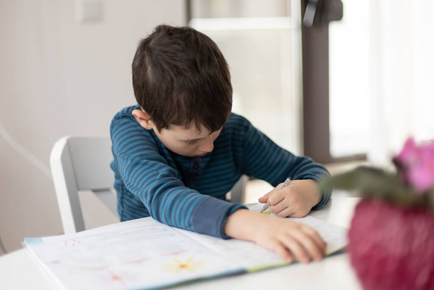 Portrait d'un jeune garçon aux prises avec ses devoirs à la maison. Concept d'éducation à domicile des enfants. Enseignement à distance - Photo, image