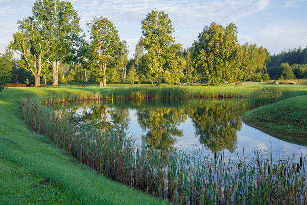 City Talsi, Latvia. Lake with water grass. Travel photo.05.09.2020 - Φωτογραφία, εικόνα