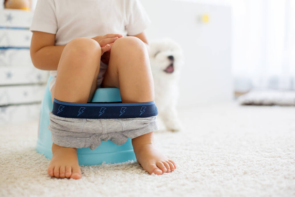 Blond toddler child, using potty at home, little pet maltese dog lying next to him - 写真・画像