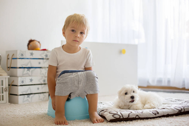 Blond toddler child, using potty at home, little pet maltese dog lying next to him - Фото, зображення