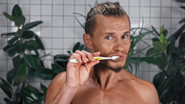 Retrato del hombre cepillándose los dientes en el baño - Imágenes, Vídeo