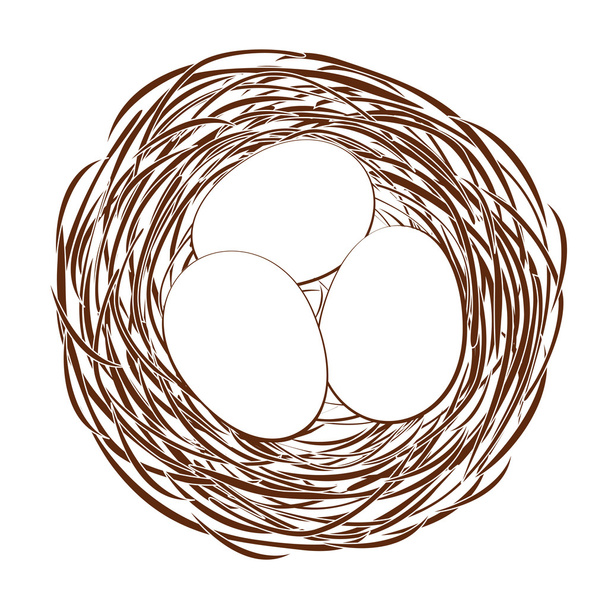 Eggs in a nest - Vector, Image