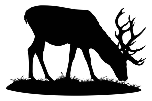 鹿の放牧。白い背景のベクトル分離イラスト - ベクター画像