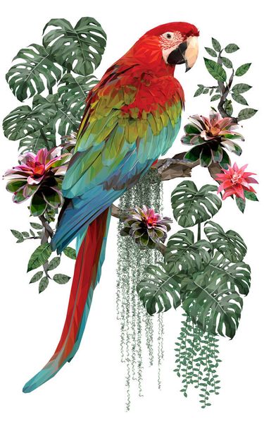 Polygonal illustration of Green winged macaw bird and amazon forest plants with white background. - Photo, Image