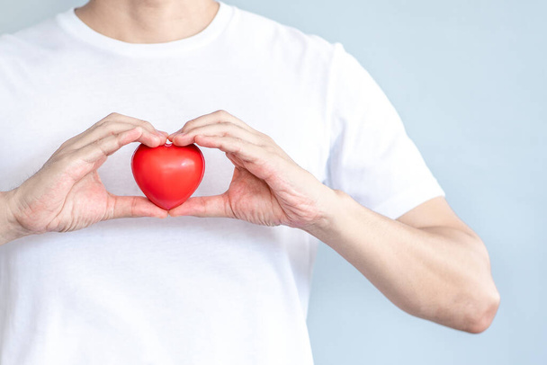 Hand holding Red Heart in white t-shirt, Concept of Love and Health care.Παγκόσμια ημέρα της καρδιάς, Νοσοκομείο, Κλινική.Ημέρα του Αγίου Βαλεντίνου Πανόραμα Creative for web, montage, banner.Copy κενό κενό. - Φωτογραφία, εικόνα