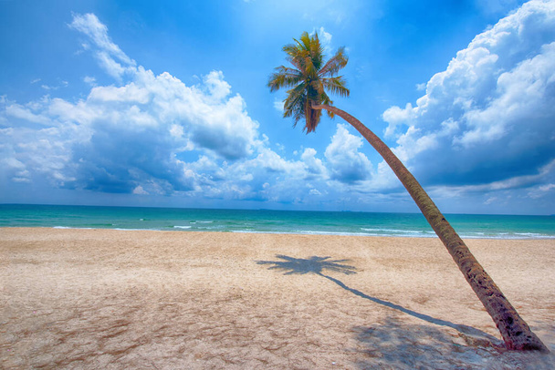 Beautiful tropical ocean and beach, Amazing tropical palm tree leaning over the ocean with blue sky,Thung Wua Laen Beach, Chumphon,Thailand.- Image - Photo, Image