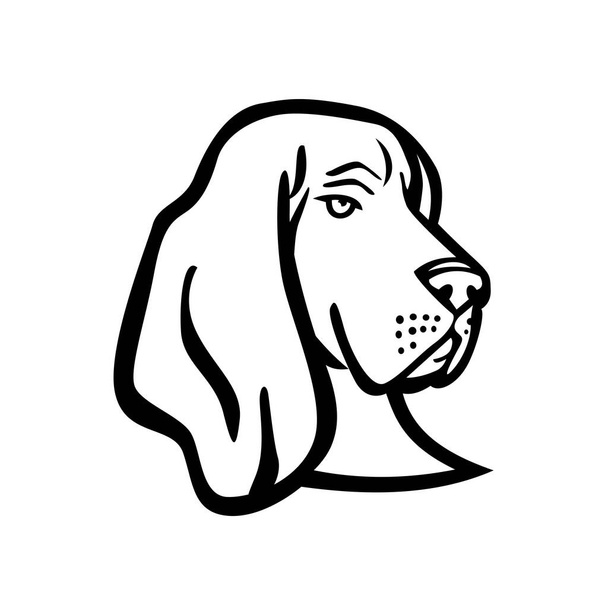 Kabala fekete-fehér illusztráció feje egy Basset Hound vagy illat kutya, egy rövid lábú kutyafajta az illat kutya család használt vadászat, nézett elölről elszigetelt háttér retro stílusban. - Vektor, kép