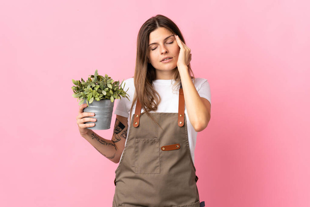 Женщина-садовница держит растение на розовом фоне с головной болью - Фото, изображение