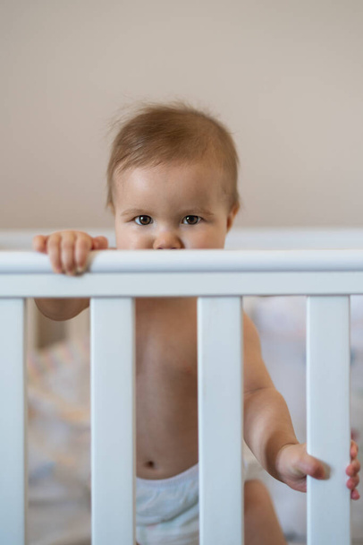 8 month old baby girl standing in the crib - 写真・画像