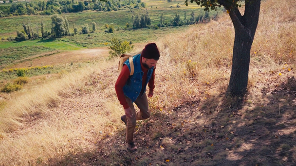 Podróżnik z plecakiem wspinający się na wzgórze w dzień - Materiał filmowy, wideo