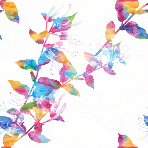 Geißblatt. Zweig mit Blüten und Knospen. Gartenblume. Nahtlose Muster auf einem Aquarell-Hintergrund. Verwenden Sie Druckmaterialien, Schilder, Poster, Postkarten, Verpackungen. - Foto, Bild