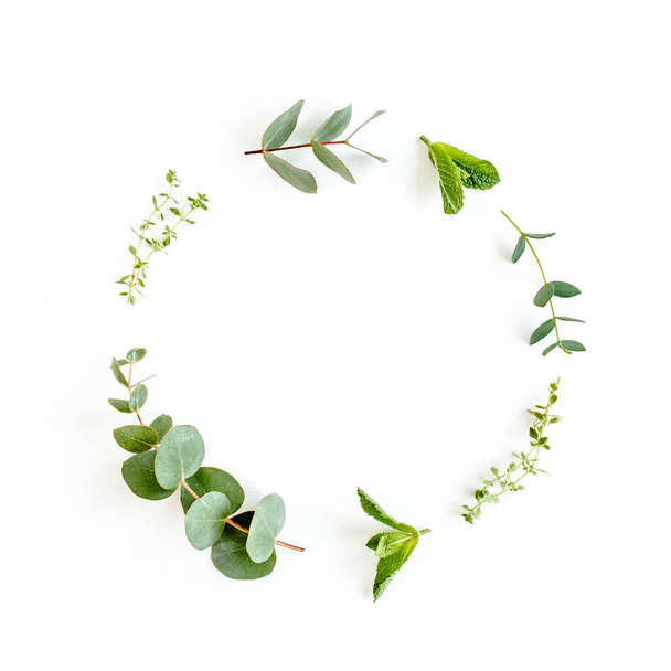 Round wreath frame made of mix of herbs, green branches, leaves mint, eucalyptus, thyme and plants collection on white background. Flat lay. Top view. - Foto, Imagem
