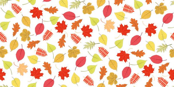 Patrón sin costuras follaje de otoño secado brillante aislado sobre fondo blanco. Diseño gráfico símbolo de otoño. Hojas de otoño secas amarillo anaranjado rojo. Fondo estacional de follaje otoñal. Ilustración vectorial - Vector, Imagen