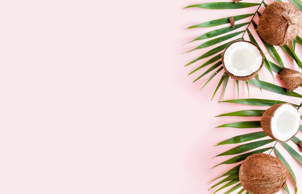 Pattern, frame borders with coconuts and tropical palm leaves on pink background. Tropical abstract background. Flat lay, top view. - 写真・画像