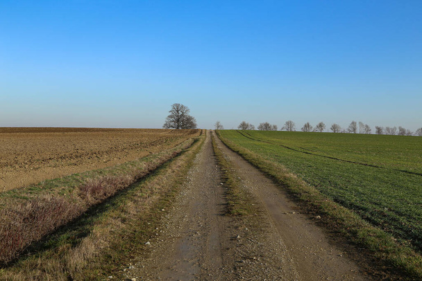 A closeup shot of a road in a field - Φωτογραφία, εικόνα