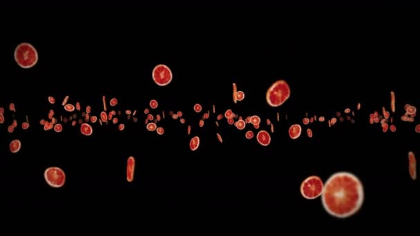 Volando molte arance secche su fondo nero. Frutta disidratata, concetto di cibo. Animazione 3D di frutta a fette di arance rotanti. Animazione loop. - Filmati, video
