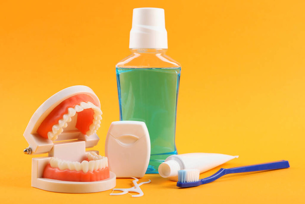 Οδοντιατρικό μοντέλο των δοντιών και των προϊόντων οδοντιατρικής περίθαλψης σε χρωματιστό φόντο με χώρο για κείμενο - Φωτογραφία, εικόνα