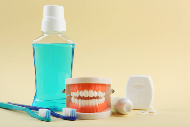 Tandheelkundig model van tanden en tandverzorging producten op gekleurde achtergrond met plaats voor tekst - Foto, afbeelding