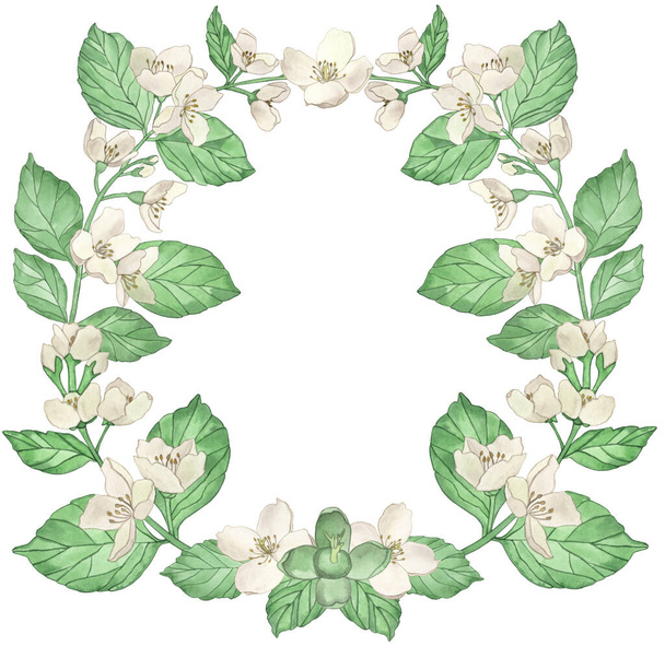 Watercolor heart wreath of flowers and branches Jasmine isolated on a white background. Floral illustration for design greeting cards, wedding invitations. - Fotó, kép
