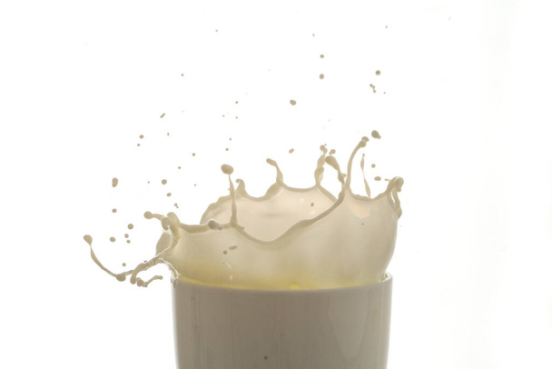 gota de leite e salpicos isolados no fundo branco - Foto, Imagem