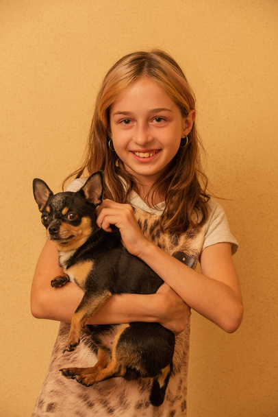 愛らしい少女Chihuahua子犬立って保持。チワワ犬を抱いている少女です。9歳か10歳の少女で腕にペットを抱えていました。動物への愛の概念. - 写真・画像
