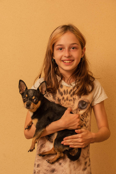 Urocza dziewczynka trzymająca szczeniaka Chihuahua na stojąco. Dziewczyna trzymająca w ramionach psy chihuahua. 9-10-latka ze zwierzątkiem w ramionach. Koncepcja miłości do zwierząt. - Zdjęcie, obraz