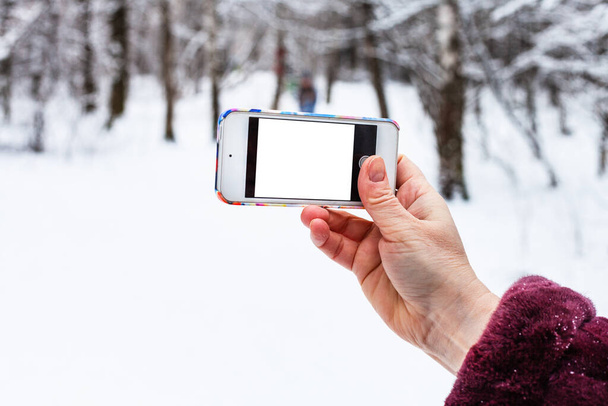 mão feminina segura smartphone com tela de recorte na floresta nevada no inverno - Foto, Imagem