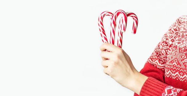 Girl in a Christmas sweater holds Christmas candy canes on a white background, close-up. Christmas background. Banner. Copy space. - Photo, Image